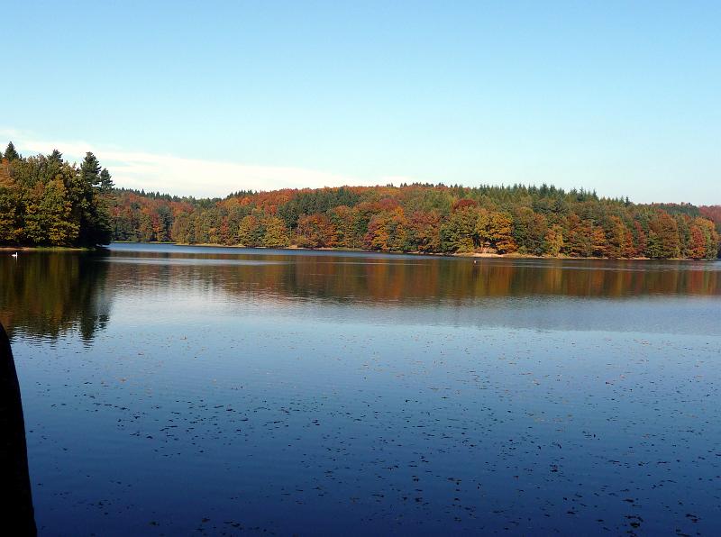 Neyetalsperre Herbst 2008 (14).JPG